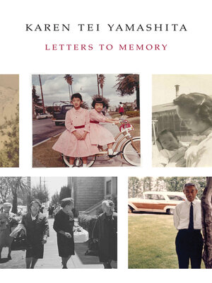 cover image of Letters to Memory
